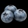 blueberry